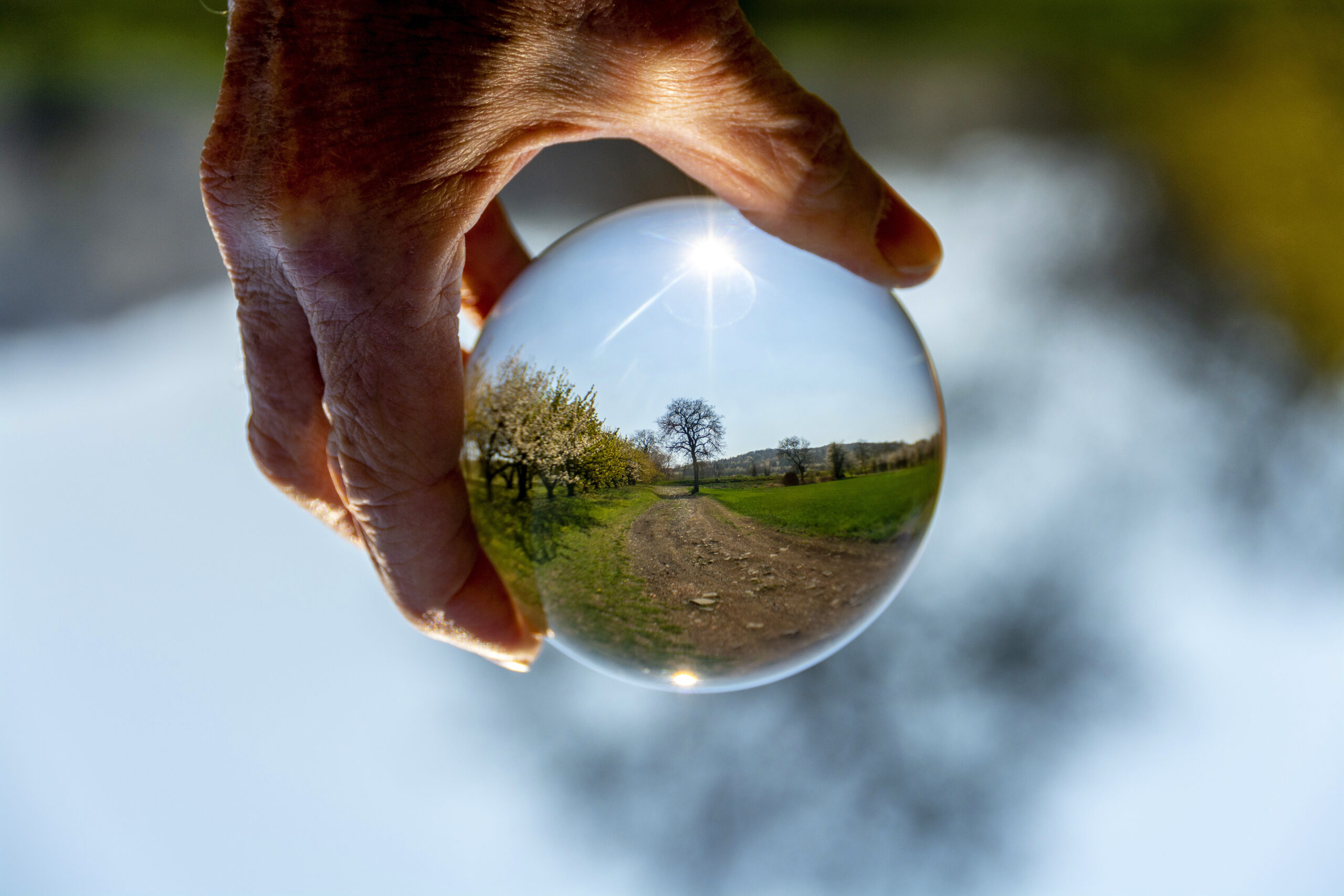 Closeup of the view of a field in a crystal sphere A closeup of the view of a field in a crystal sphere
